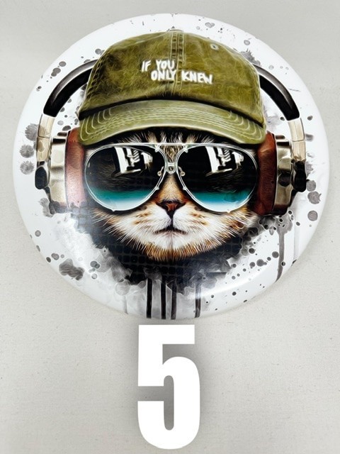 Divergent Discs StayPut Alpas (Cool Cat)