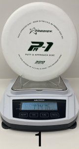 Prodigy 300 Series PA1