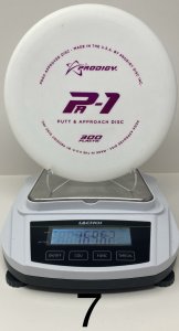 Prodigy 300 Series PA1