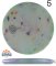 Discraft Jawbreaker Colorshift Z FLX Zone (Mini Stamp)