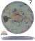 Discraft Jawbreaker Colorshift Z FLX Zone (Mini Stamp)