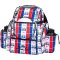 Dynamic Discs Paratrooper Backpack (State & Country Flags)